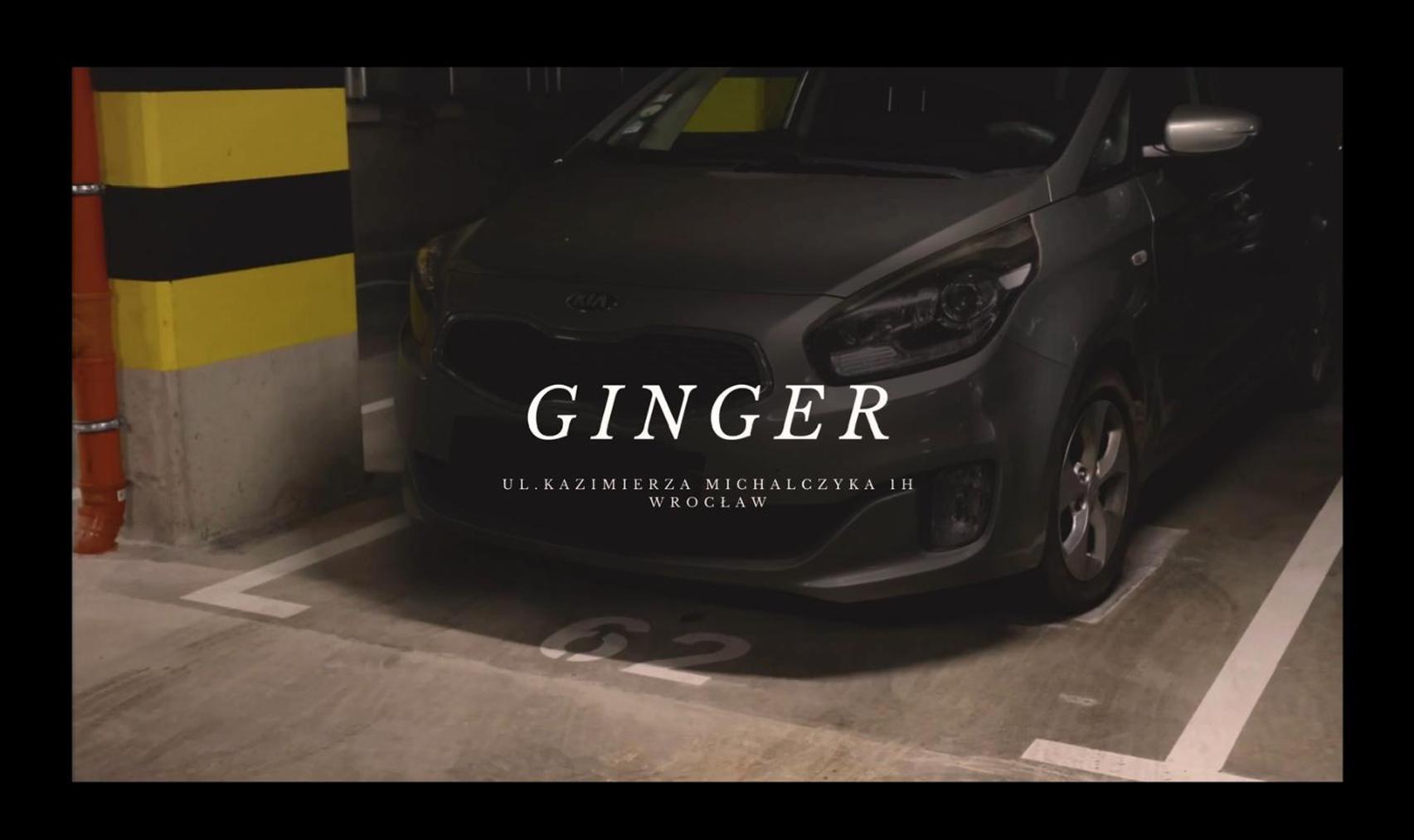 Apartament Ginger - Stare Miasto - Bezplatny Parking - Youtube Apartament Ginger We Wroclawiu Eksteriør bilde